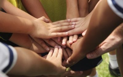 cropped-e833f6ca17c5498f18d129af8088d0cd7ab0c095ccb0e2c7748af16ac38627cf-AAwBIi.jpeg