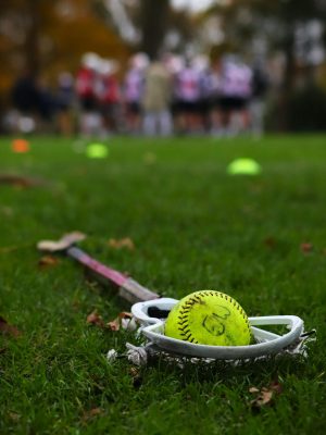 Lacrosse stick and ball lying on a green field with blurred players in the background.